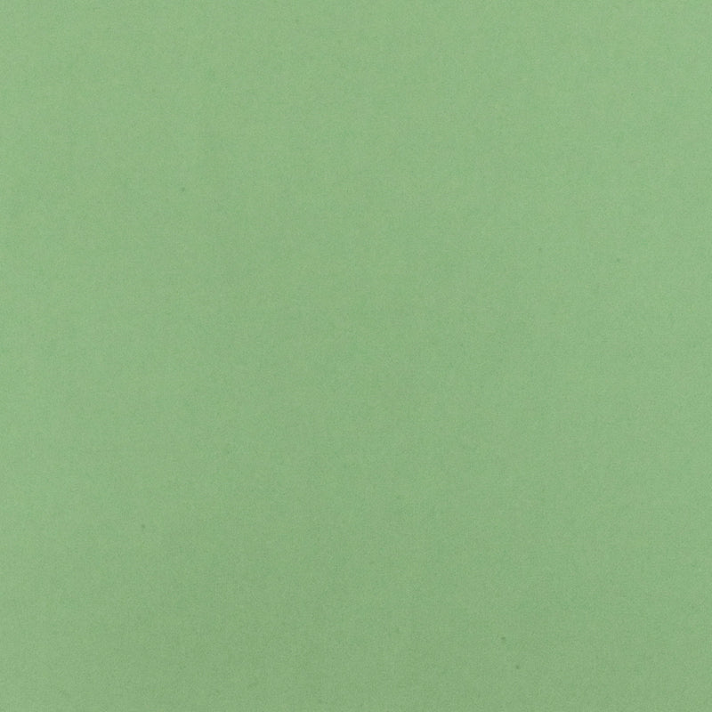 2 7/8 YD PC-Clean Green Solid Silk Georgette Woven Fabric