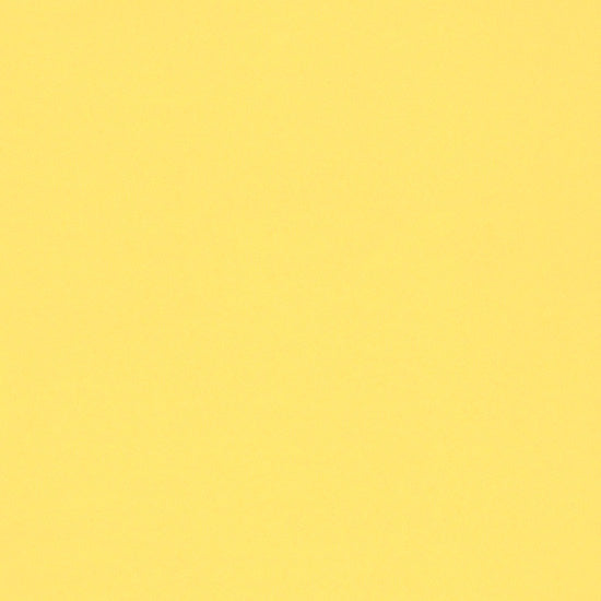 Lemon Lime Silk Chiffon Fabric