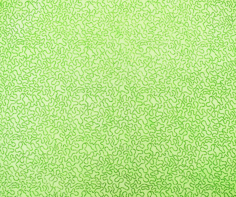 Lime Green Nylon Sparkle Coral Printed Stretch Spandex Mesh Knit Fabric