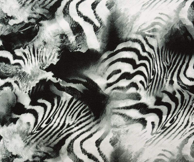 Gray-Multi Poly Stretch Zebra Printed ITY Jersey Knit Fabric