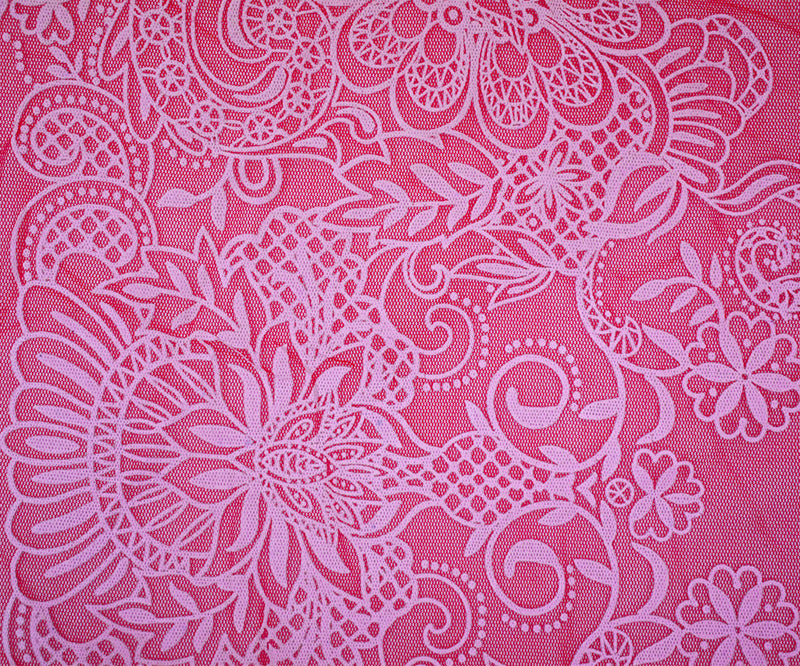 Red-White Nylon Floral Border Printed Mesh Tulle Knit Fabric