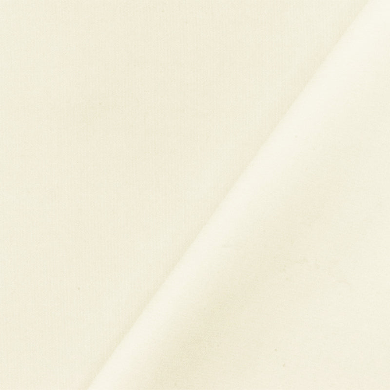 Light Ivory Featherwale Rayon-Cotton Corduroy Woven Fabric