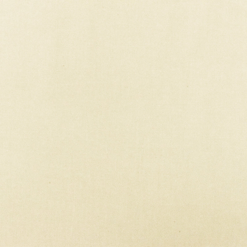Light Ivory Cotton Solid Stretch Spandex Poplin Woven Fabric