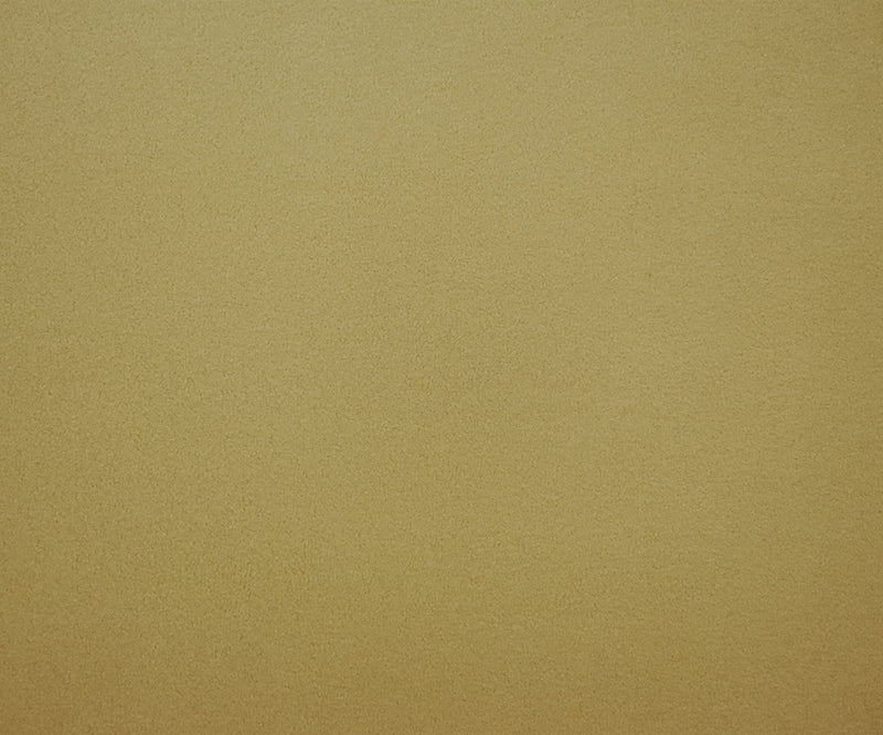 Beige Polyester Heavy Weight Polartec Wind Pro Knit Fabric
