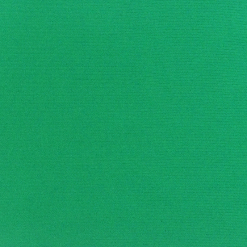 Mermaid Green Stretch Swimwear Tricot Knit Fabric