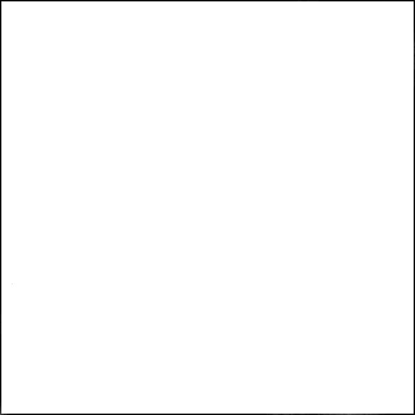 White Broadcloth Fabric - Reorderable