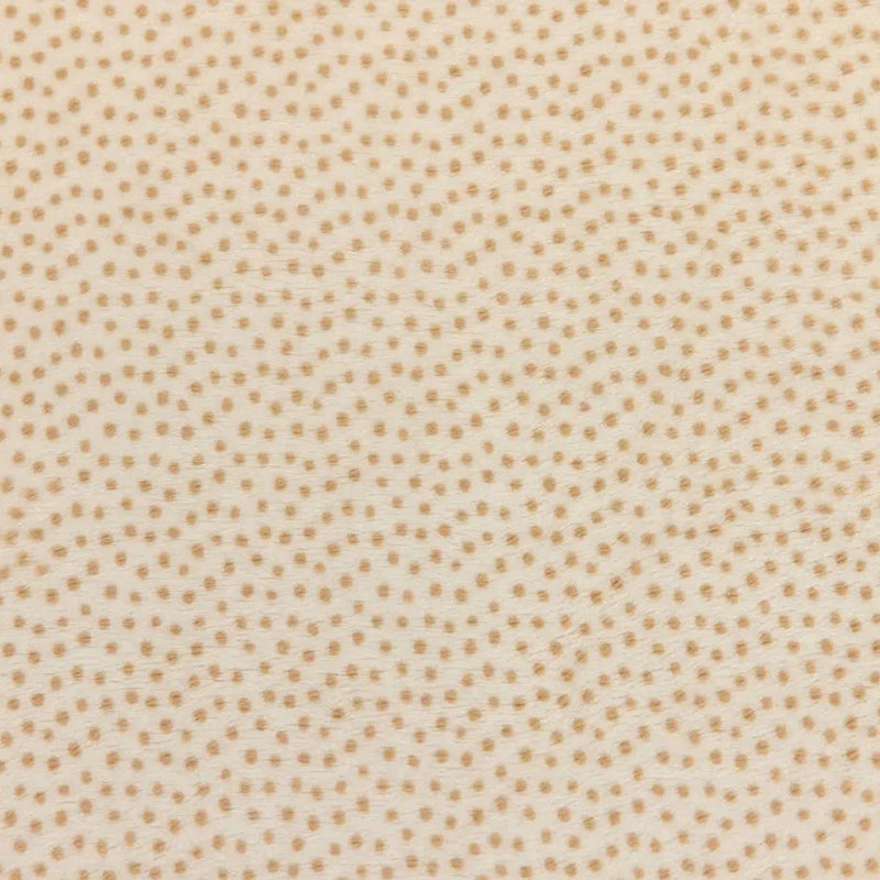 Cream Extra Wide Dottie Cuddle Sand Fabric per yard