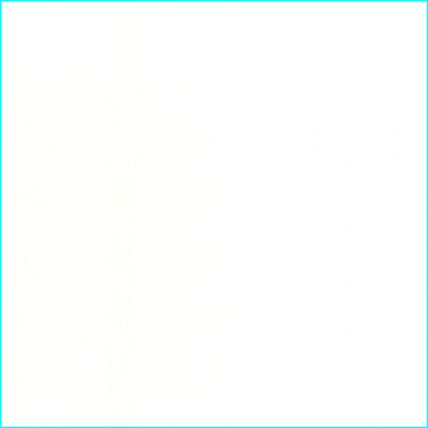 50 YD Bolt-Ivory Tulle Fabric