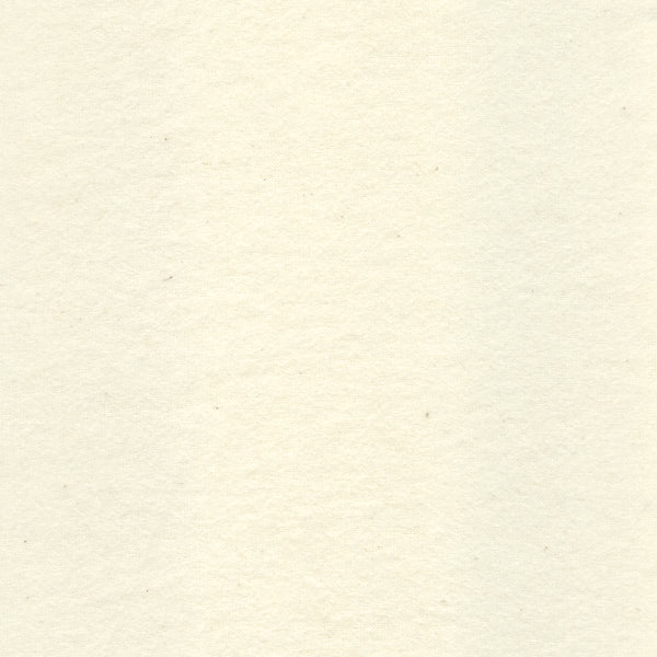 Ivory Cotton Flannel Fabric - Reorderable