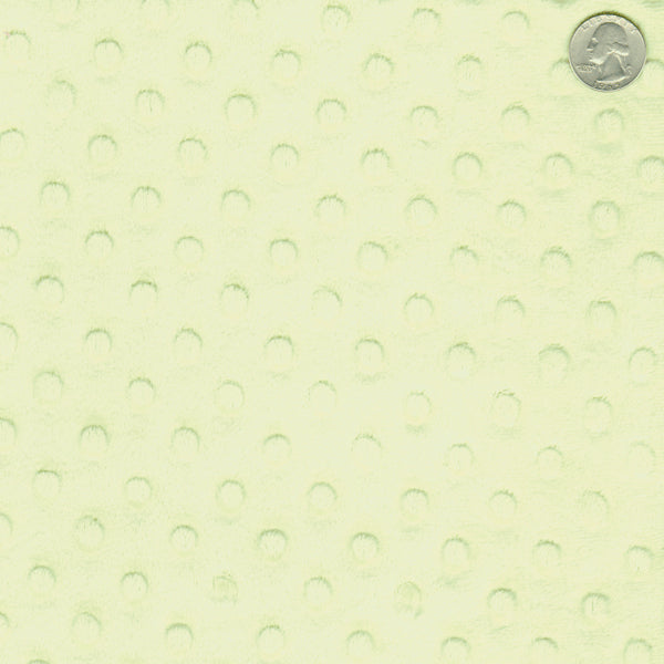 12 YD Bolt-Kiwi Minky Dot Fabric