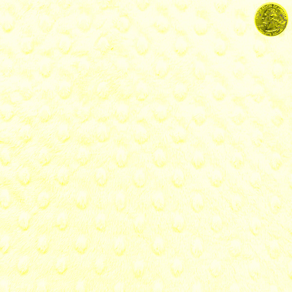 12 YD Bolt-Yellow Minky Dot Fabric